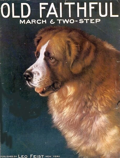 1910s USA old faithful dogs