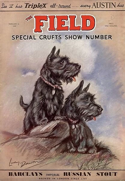 1930s UK dogs
