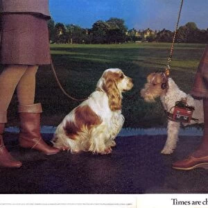 1980s UK K Shoes Magazine Advert