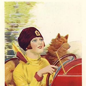 The Girl At The Wheel 1930s UK C. P Shilton mcitnt woman womens drivers cars dogs