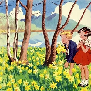 Infant School Illustrations 1950s UK picking flowers Spring seasons daffodils Enid Blyton