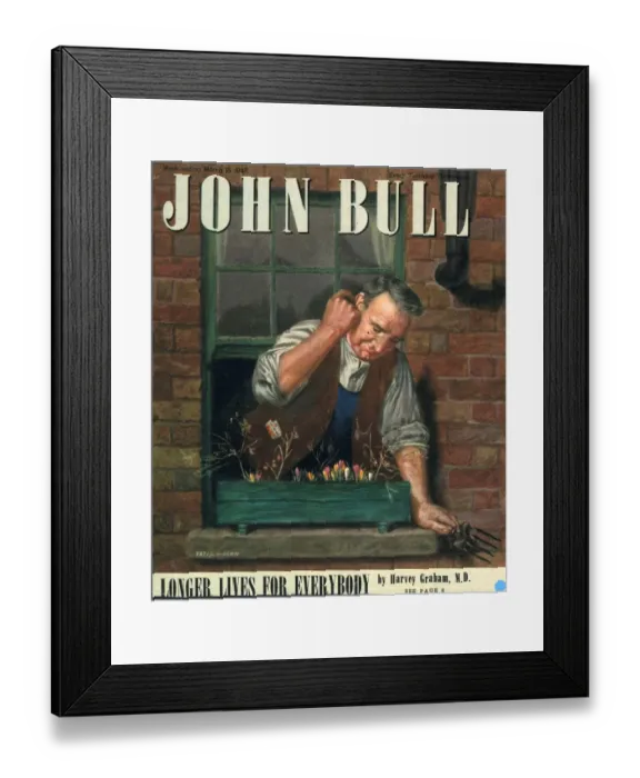 Framed Print : John Bull 1947 1940s UK window boxes magazines horticulture Framed Print : John Bull 1947 1940s UK window boxes magazines horticulture
