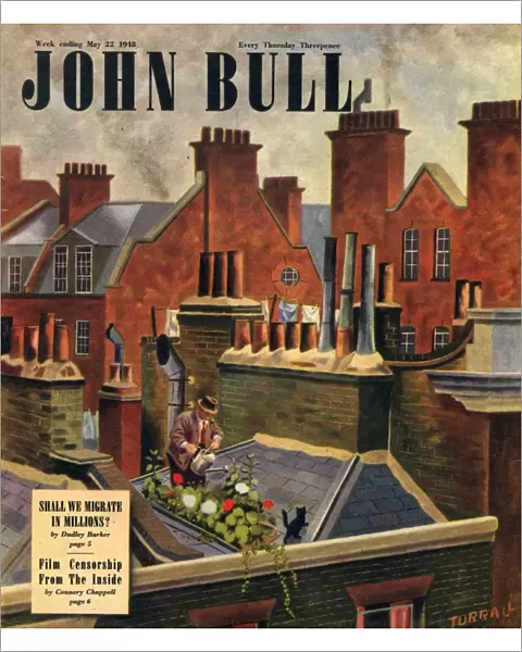 John Bull 1948 1940s UK roof gardens kittens watering magazines horticulture