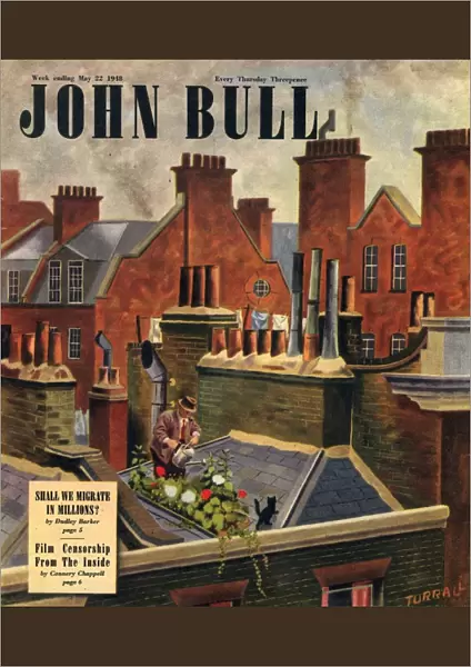 John Bull 1948 1940s UK roof gardens kittens watering magazines horticulture