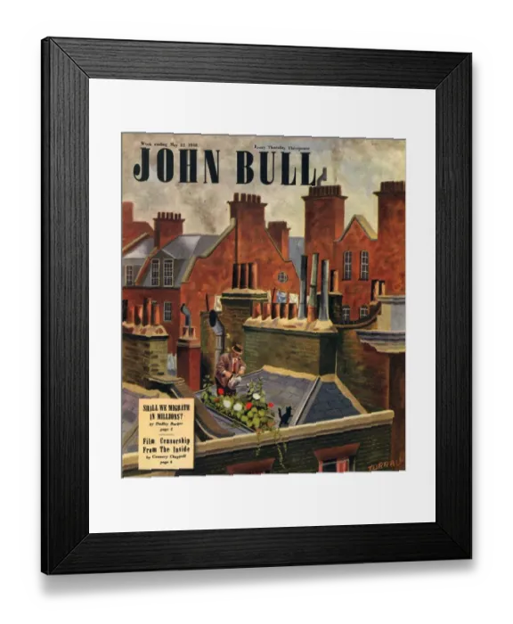 Framed Print : John Bull 1948 1940s UK roof gardens kittens watering magazines horticulture Framed Print : John Bull 1948 1940s UK roof gardens kittens watering magazines horticulture