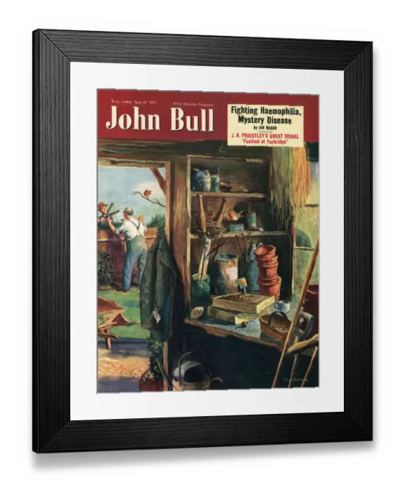 Framed Print : John Bull 1951 1950s UK neighbours sheds magazines
