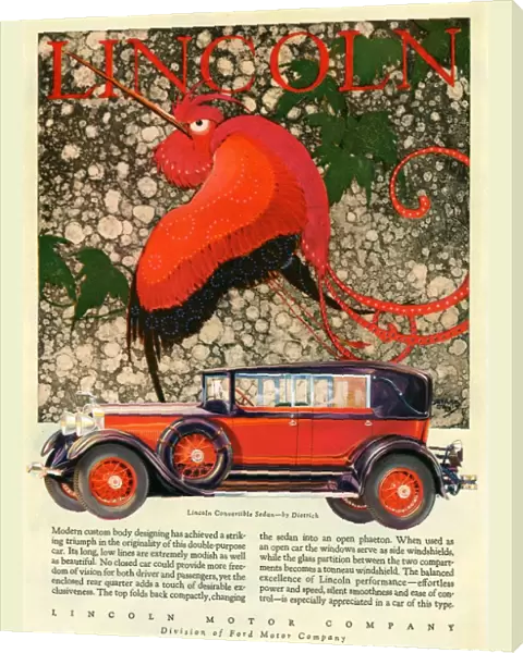 Lincoln 1928 1920s USA cc cars birds exotic