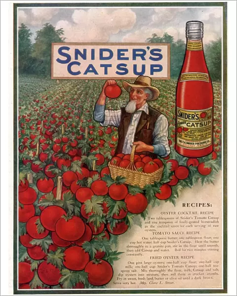 Sniders Catsup 1920s USA CC tomatoes sauce farmers farming recipes