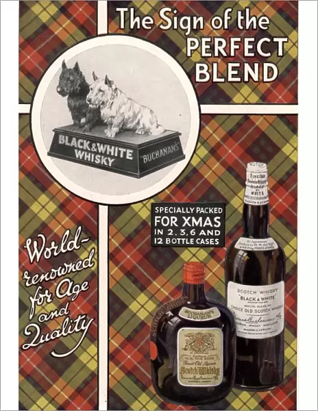 1930s UK black and white whiskey whisky dogs