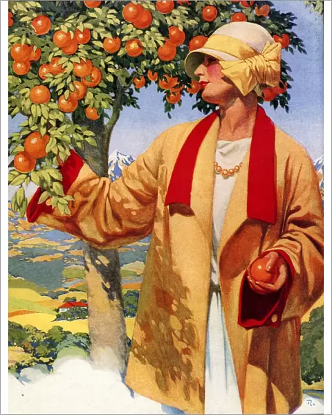 Picking Oranges 1923 1920s USA fruit woman womens hats