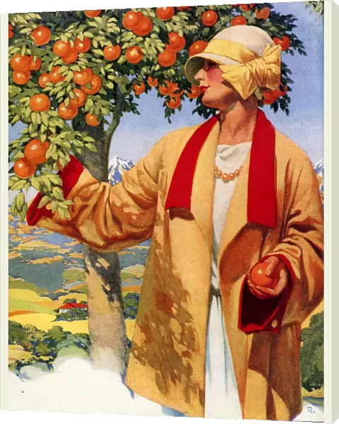 Picking Oranges 1923 1920s USA fruit woman womens hats