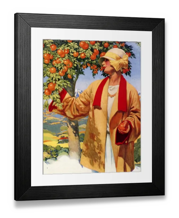 Framed Print : Picking Oranges 1923 1920s USA fruit woman womens hats Framed Print : Picking Oranges 1923 1920s USA fruit woman womens hats