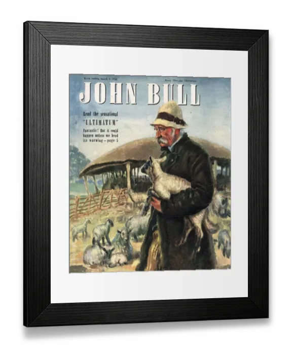 Framed Print : John Bull 1948 1940s UK farms farmers sheep lambs magazines Framed Print : John Bull 1948 1940s UK farms farmers sheep lambs magazines