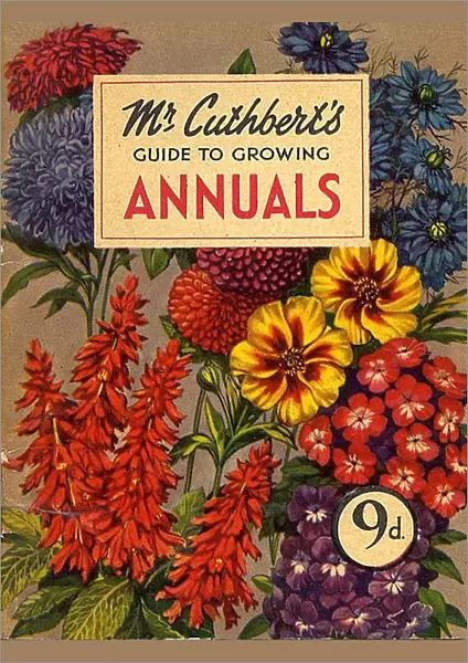 Mr Cuthberts 1953 1950s UK mcitnt flowers Annuals seeds flowers Cuthberts annual