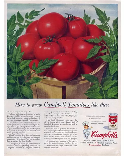 Campbells 1950s USA campbells tomatoes soup juice vegetables