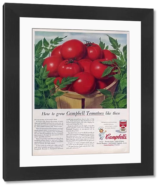 Campbells 1950s USA campbells tomatoes soup juice vegetables