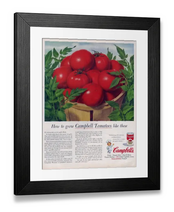Framed Print : Campbells 1950s USA campbells tomatoes soup juice vegetables