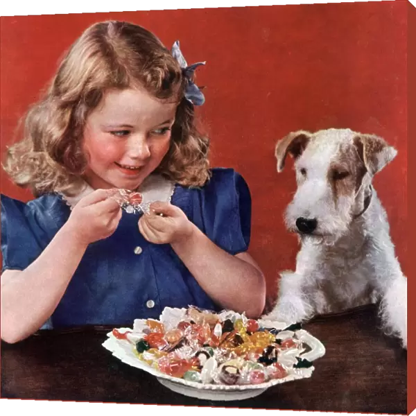 Cellophane by DuPont 1950s USA dogs sweets