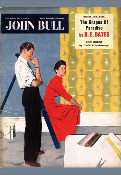 John Bull 1956 1950s UK diy wallpapering decorating magazines do it yourself