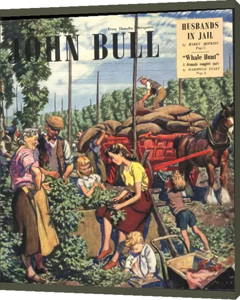 John Bull 1948 1940s UK farms farming hops magazines