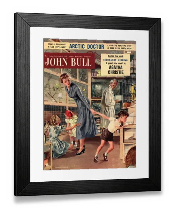 Framed Print : John Bull 1950s UK pet shops pets magazines Framed Print : John Bull 1950s UK pet shops pets magazines