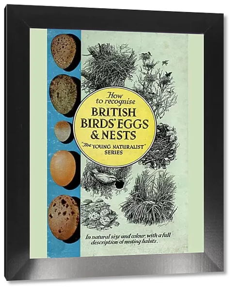 1950s, UK, British Birds Eggs and Nests, Book Cover