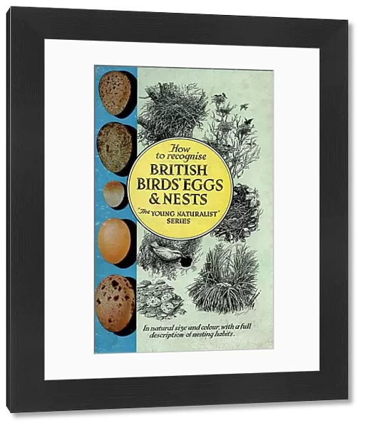 1950s, UK, British Birds Eggs and Nests, Book Cover