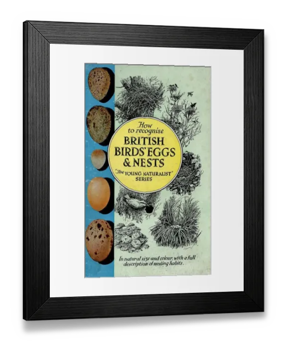 Framed Print : 1950s, UK, British Birds Eggs and Nests, Book Cover