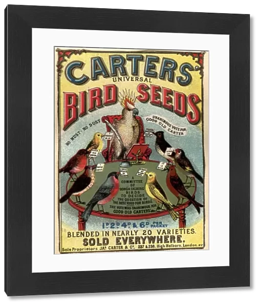 1890s UK carters bird seed birds poetry