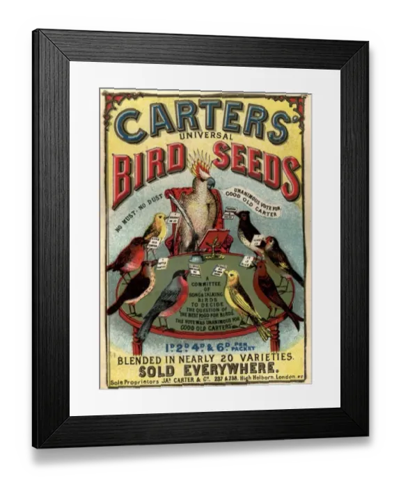 Framed Print : 1890s UK carters bird seed birds poetry Framed Print : 1890s UK carters bird seed birds poetry