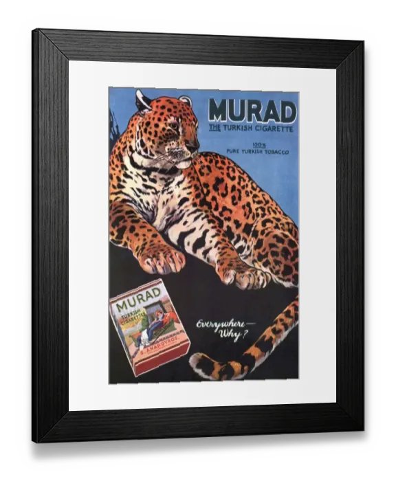 Framed Print : Murad 1910s USA cigarettes smoking leopards turkish Framed Print : Murad 1910s USA cigarettes smoking leopards turkish