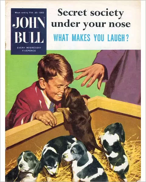 John Bull 1950s UK dogs puppies pets pets shops magazines pets puppys
