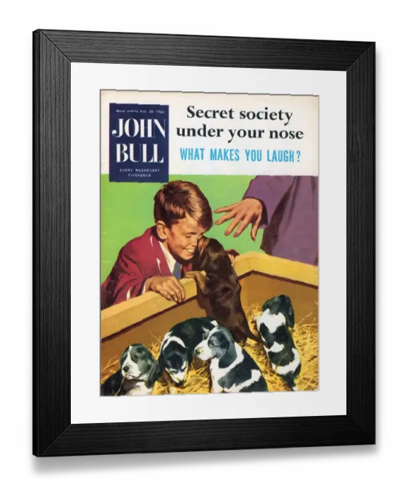 Framed Print : John Bull 1950s UK dogs puppies pets pets shops magazines pets puppys Framed Print : John Bull 1950s UK dogs puppies pets pets shops magazines pets puppys