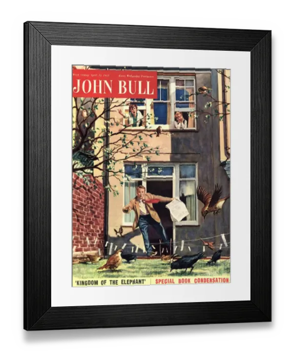Framed Print : 1955 1950s UK john bull birds disasters magazines Framed Print : 1955 1950s UK john bull birds disasters magazines