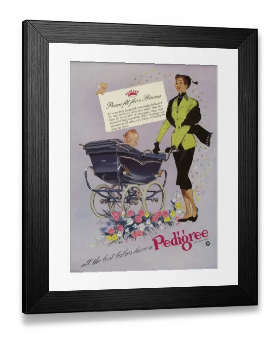 Framed Print : Pedigree 1952 1950s UK prams babies baby mothers Framed Print : Pedigree 1952 1950s UK prams babies baby mothers