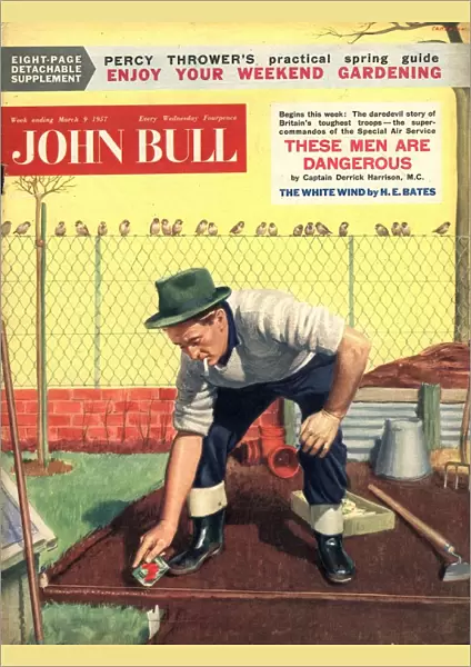 John Bull 1950s UK seeds planting pests birds gardens magazines