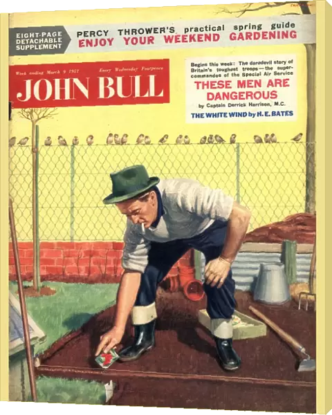 John Bull 1950s UK seeds planting pests birds gardens magazines