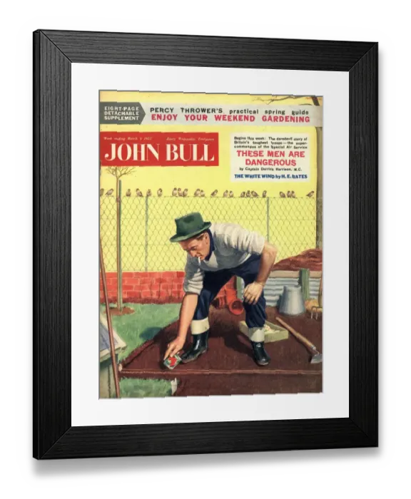 Framed Print : John Bull 1950s UK seeds planting pests birds gardens magazines Framed Print : John Bull 1950s UK seeds planting pests birds gardens magazines