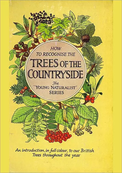 1950s, UK, Trees of the Countryside, Book Cover