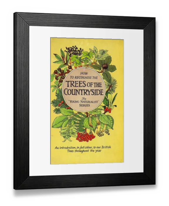 Framed Print : 1950s, UK, Trees of the Countryside, Book Cover Framed Print : 1950s, UK, Trees of the Countryside, Book Cover