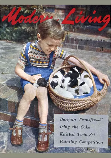 Modern Living 1950 1950s UK magazines dogs puppy puppies