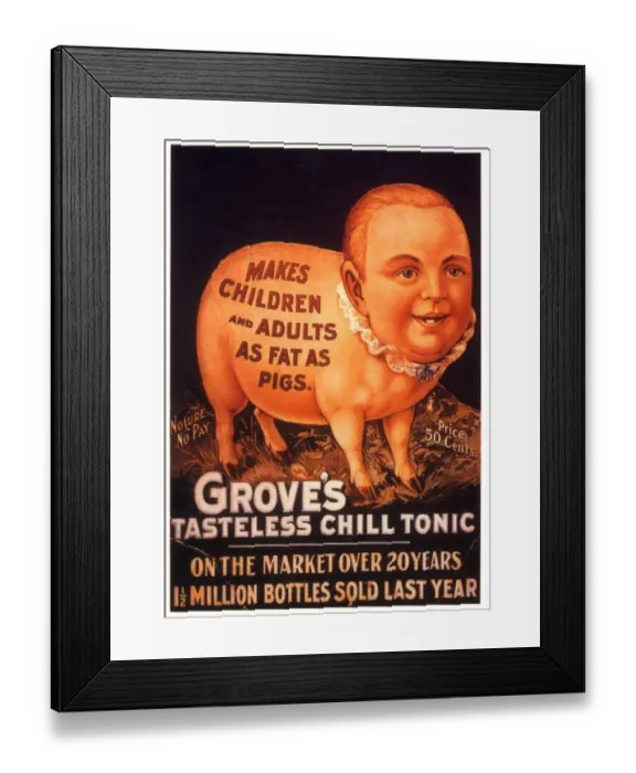 Framed Print : Groves 1890s USA humour groves tonic pigs fat diets Framed Print : Groves 1890s USA humour groves tonic pigs fat diets
