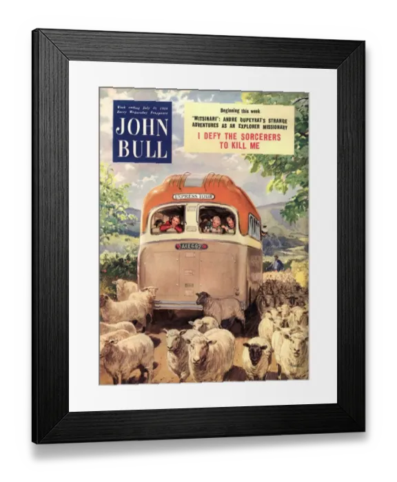 Framed Print : John Bull 1950s UK sheep magazines Framed Print : John Bull 1950s UK sheep magazines