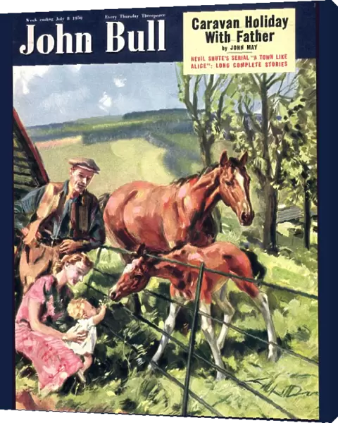 John Bull 1950 1950s UK horses pets foals magazines