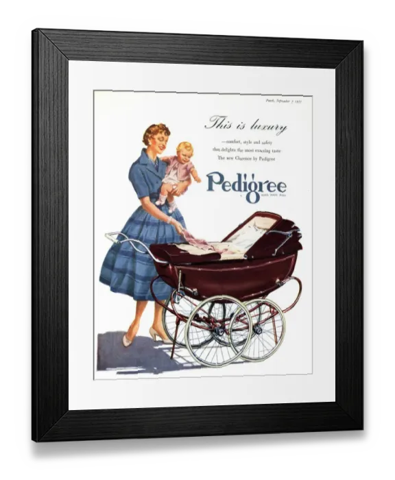 Framed Print : 1950s UK babies pedigree prams baby Framed Print : 1950s UK babies pedigree prams baby