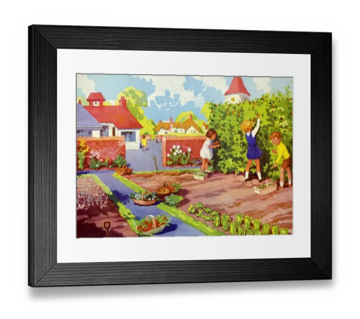 Framed Print : Infant School Illustrations 1950s UK gardens vegetables patches Enid Blyton Framed Print : Infant School Illustrations 1950s UK gardens vegetables patches Enid Blyton