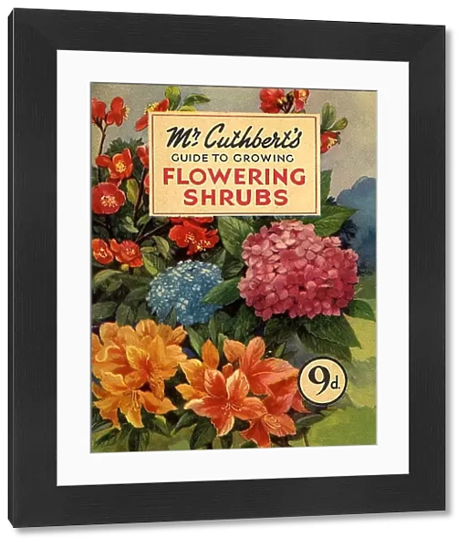 Mr Cuthberts Guide To Flowering 1953 1950s UK mcitnt flowers seeds flowers Cuthberts