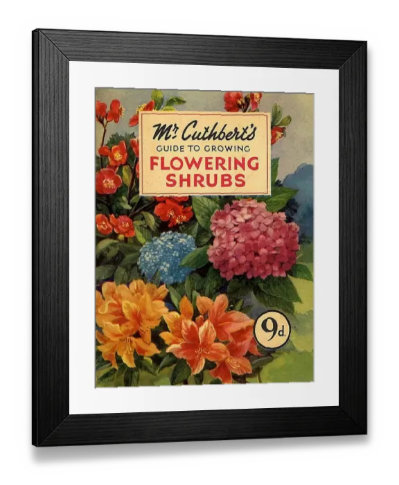 Framed Print : Mr Cuthberts Guide To Flowering 1953 1950s UK mcitnt flowers seeds flowers Cuthberts