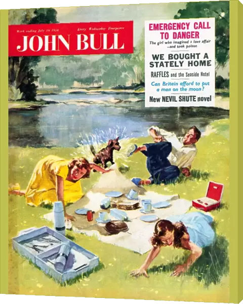 John Bull 1950s UK holidays picnics dogs magazines pets