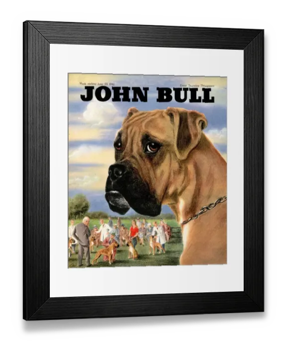 Framed Print : John Bull 1946 1940s UK dogs shows magazines Framed Print : John Bull 1946 1940s UK dogs shows magazines